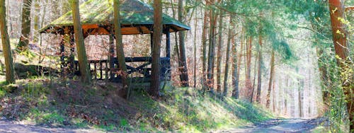 Schutzhütte in Höllerbach